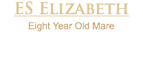 ES Elizabeth Eight Year Old Mare 