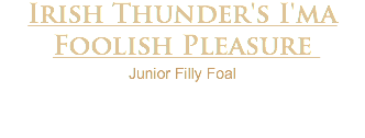 Irish Thunder's I'ma Foolish Pleasure Junior Filly Foal 