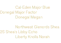  Cal-Eden Major Blue Donegal Major Factor Donegal Megan Northwest Glenords Shea 2S Shea's Libby-Echo Liberty Knolls Norah 
