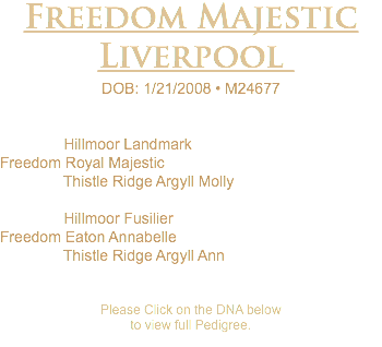 Freedom Majestic Liverpool DOB: 1/21/2008 • M24677 Hillmoor Landmark Freedom Royal Majestic Thistle Ridge Argyll Molly Hillmoor Fusilier Freedom Eaton Annabelle Thistle Ridge Argyll Ann Please Click on the DNA below to view full Pedigree. 